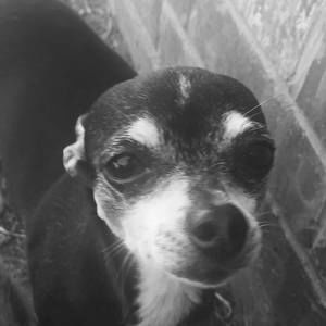 Meet your Posher, Blakelee